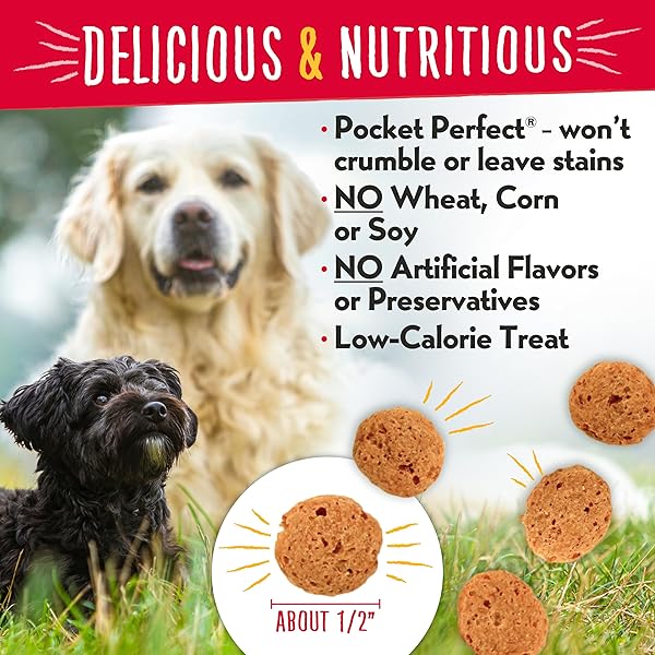 CHARLEE BEAR GRAIN FREE CRUNCH DOG TREATS, BACON & BLUEBERRY FLAVOR, 8 OZ