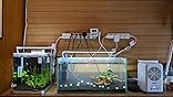 Amazon Co Jp カスタマーレビュー ゼンスイ 小型ペルチェ式クーラー Tegaru テガル