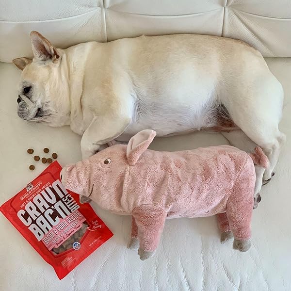 STELLA & CHEWY’S TRAINING DOG TREATS – CRAV’N BAC’N SOFT BACON & PORK BITES – PREMIUM USA MADE – LOW CALORIE REWARDS – 8.25OZ