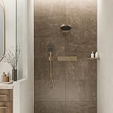 Hansgrohe FixFit Q Wall Outlet Shower Holder Brushed Bronze view 3