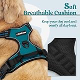 rabbitgoo Large Dog Harness No Pull Adjustable Reflective Padded Vest Dark Green view 3