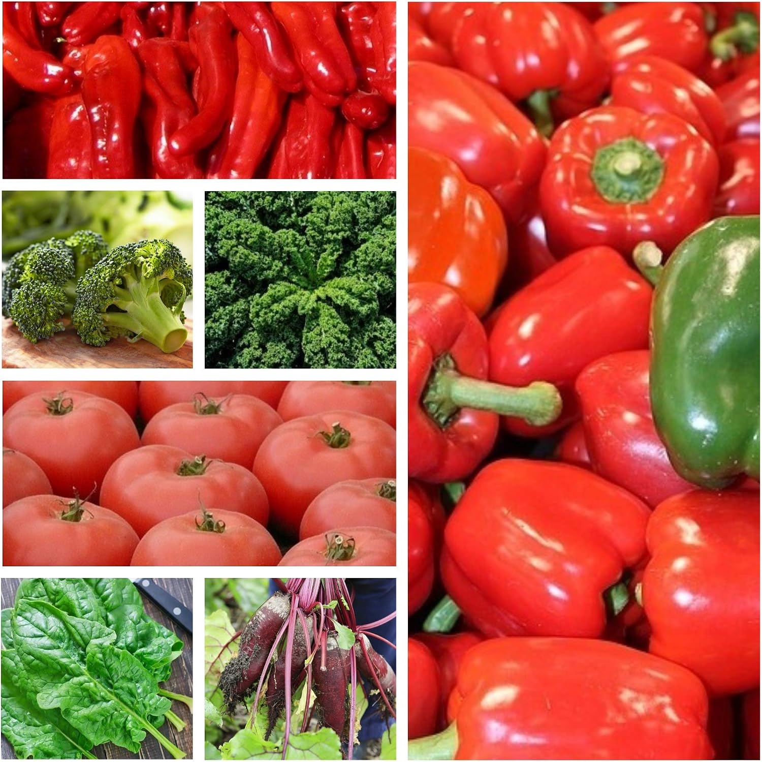 Verduras que apoyan la dieta saludable - Conjunto de semillas de 7 ...