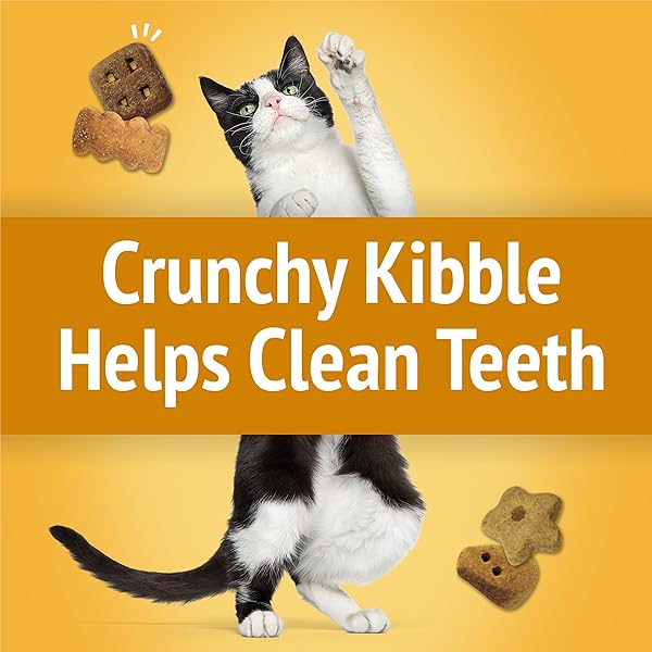 PURINA FRISKIES CAT TREATS, PARTY MIX CHEEZY CRAZE CRUNCH – 20 OZ. POUCH
