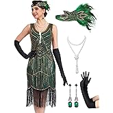 RRYIO 1920s Flapper Dresses for Women,Sheer Beaded Sleeves Great Gatsby Dresses Roaring 20s Costumes with Accessories