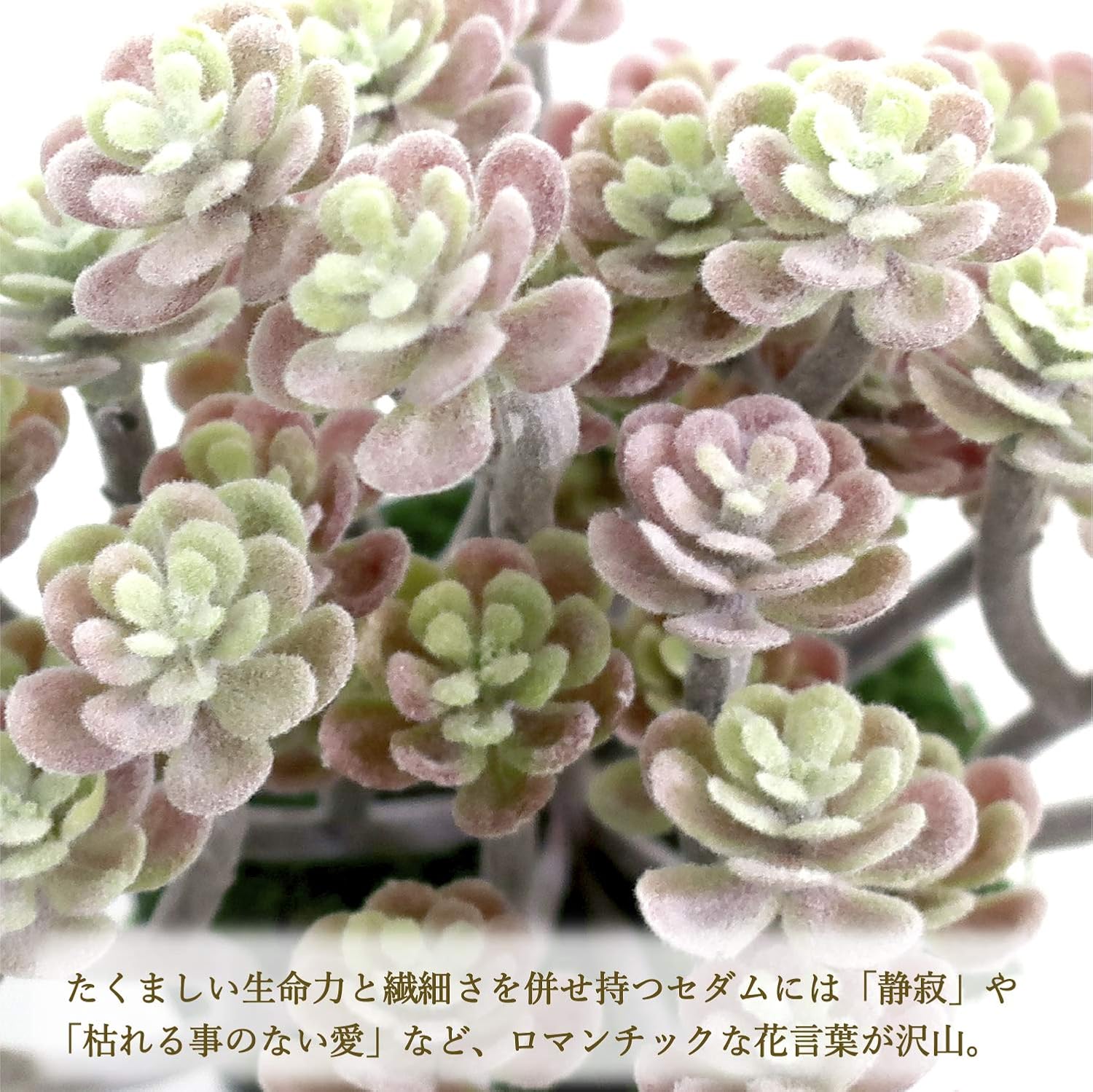 Amazon Co Jp ササガワ 人工観葉植物 パープルセダム 光触媒 H18cm ミニサイズ 32 8700 文房具 オフィス用品