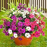 TSTWETO Artificial Flowers for Outdoors, 16 Bundles Artificial Plants Outdoor Fake Flowers UV Resistant, Outdoor Fake Plants Faux Silk Flowers for Porch Outside Planter Window Box Garden