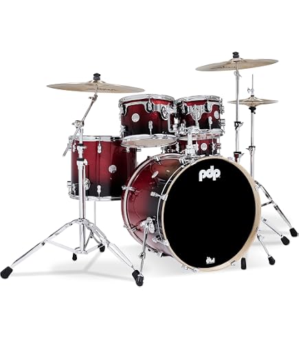 Amazon.com: ddrum Dios Exotic Zebra Wood- Natural 5-Piece Shell