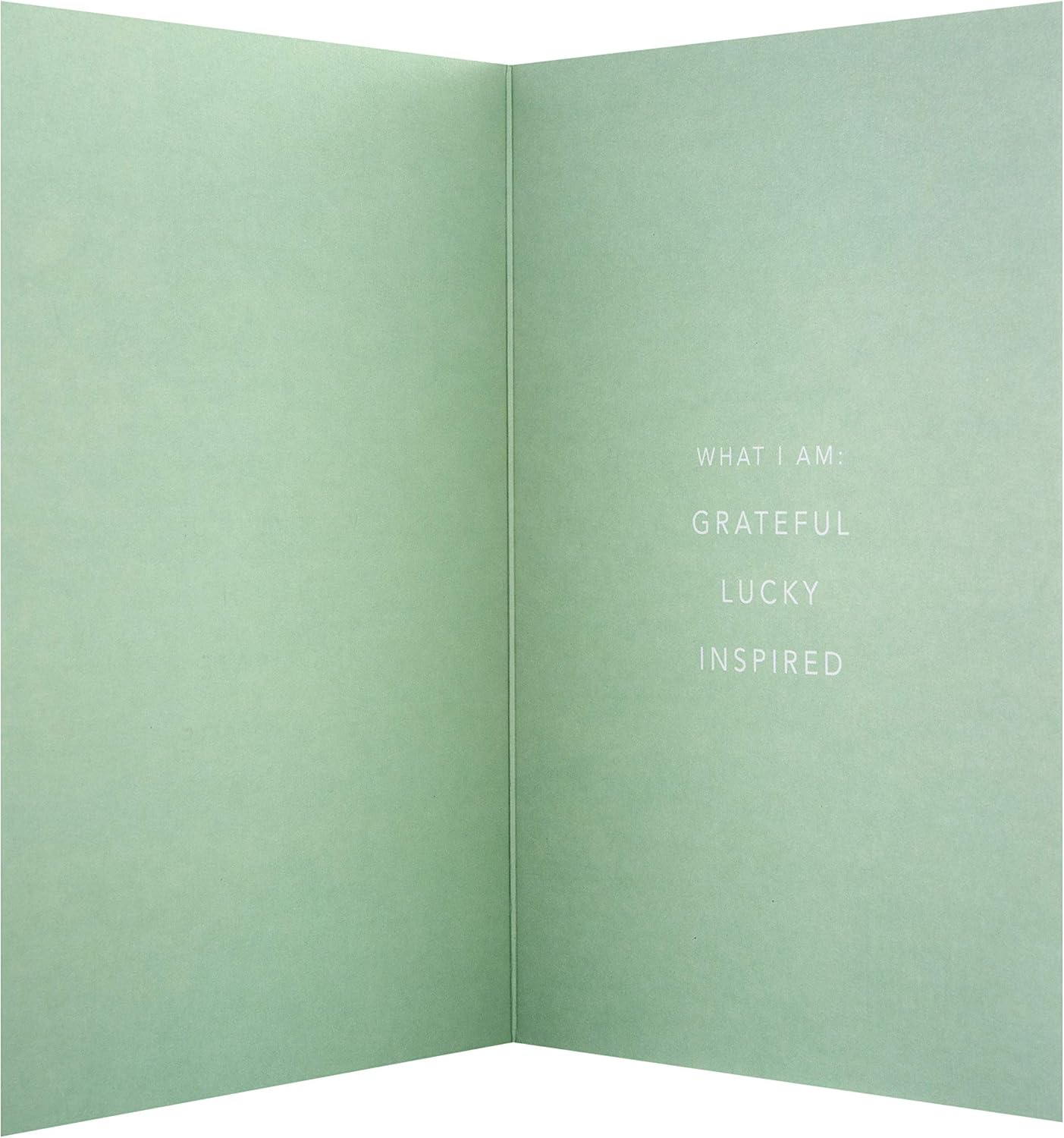 Hallmark Emotive Thank You Card - Photographic 'State of Kind' Design, green - Image 4