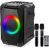 Karaoke Machine with 2 Wireless Microphones, Portable Bluetooth Party Karaoke Speaker with LED Lights, Bass/Treble Adjustment, TWS, 800W(Peak) PA System for Home Party, Supports USB/AUX/REC/Mic-in