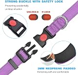 haapaw Reflective Dog Collar with Soft Neoprene Padding Adjustable Nylon view 3