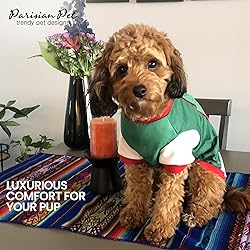 Parisian Pet Dog Jersey – Embroidered Mexico Mesh