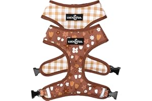 Lucy & Co. Cute Reversible Dog Harness Walking Halter - Best Designer Pet Harnesses for XS - XL Dogs - Padded Adjustable Vest for Easy Walking (Medium, Chocolate Meadows - Brown & White Floral)