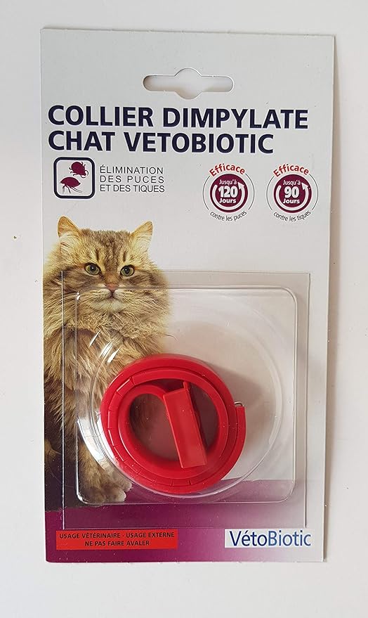 Comment Se Débarrasser Des Puces Les éliminer Traitement