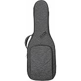Reunion Blues RBXOE1 RBX Oxford Electric Gig Bag