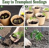 LATERN 100Pcs 8CM Biodegradable Seedling Pots with 100 Plant Labels view 6