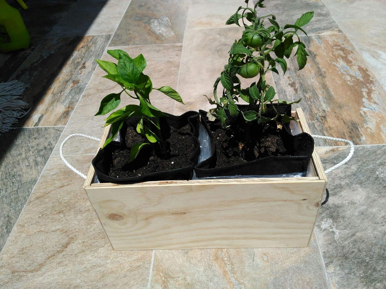 Kit de huerto urbano.: Amazon.es: Jardín