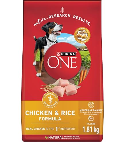 Purina ONE Lamb & Rice Dry Dog Food with Prebiotic Fiber