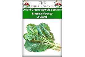TKE Farms & Gardens - Georgia Southern Collard Green Seeds for Planting, 2 Grams, 225 Seeds, Non-GMO, Heirloom, Perfect Winter & Fall Vegetable Seeds, Includes Instructions, Brassica oleracea