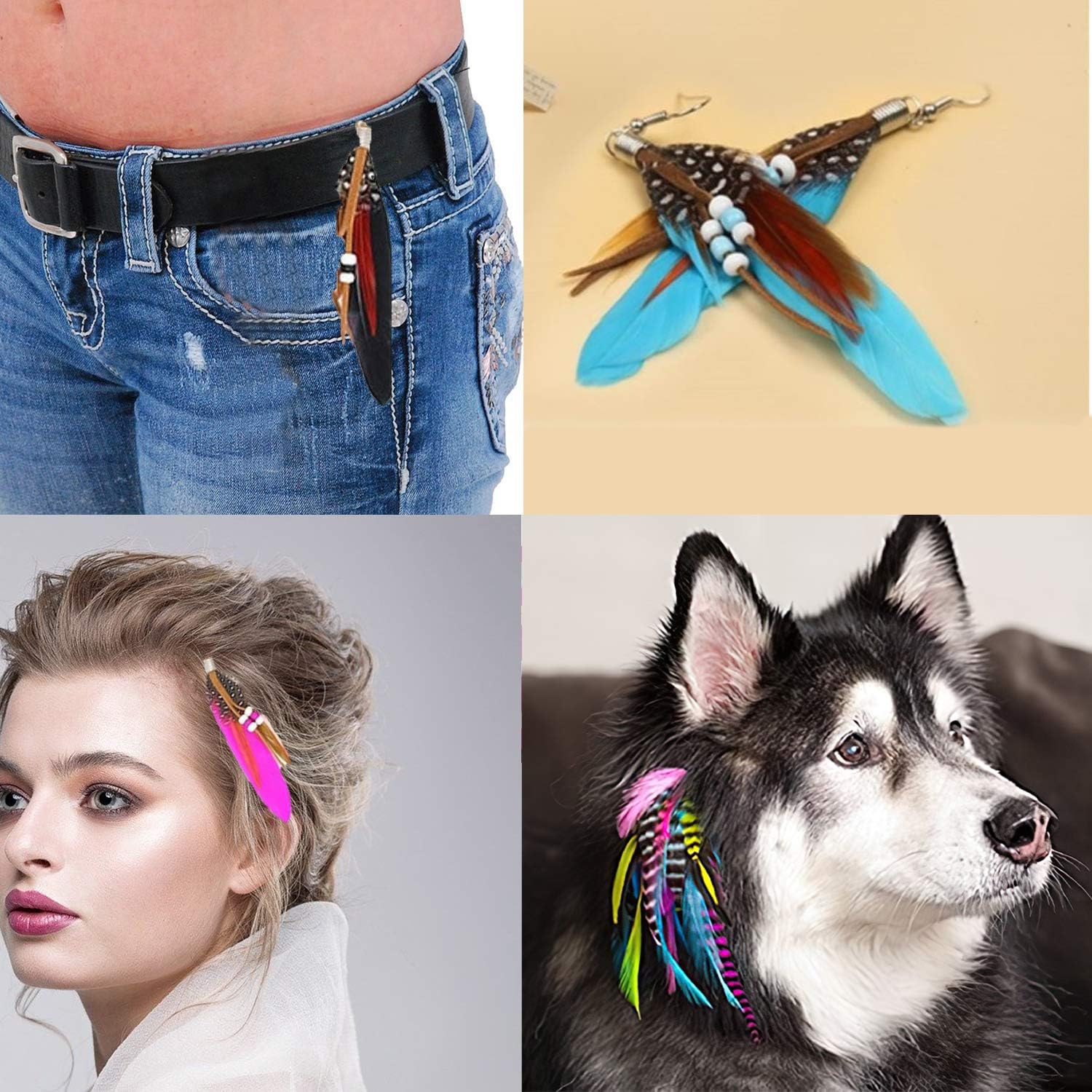 when to give puppy dry food