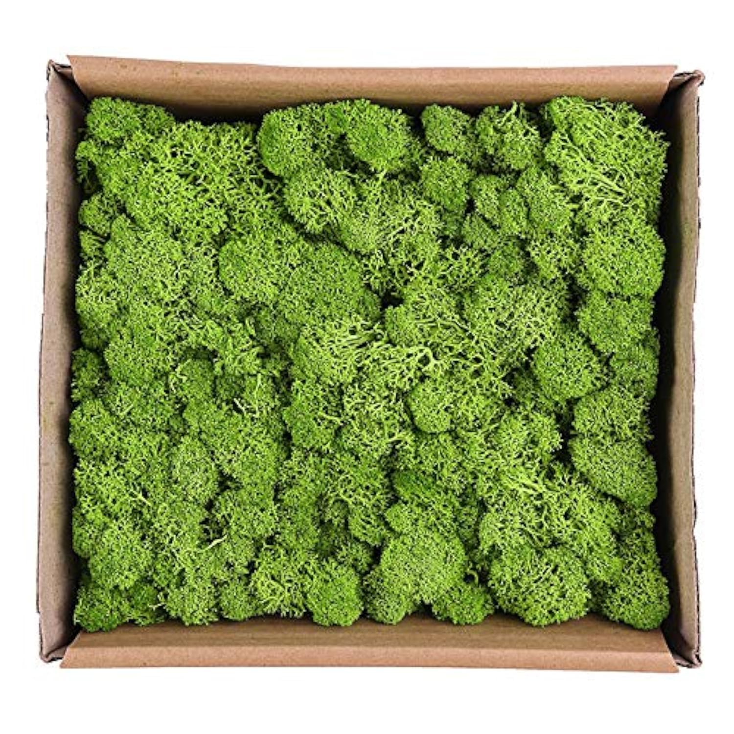 Warmiehomy Fake Artificial Moss for Crafting 130g Light Green Faux Moss for Arts and Crafts Christmas and Easter Decorations Landscaping, Floristry Indoor Plant Pots and Aquariums
