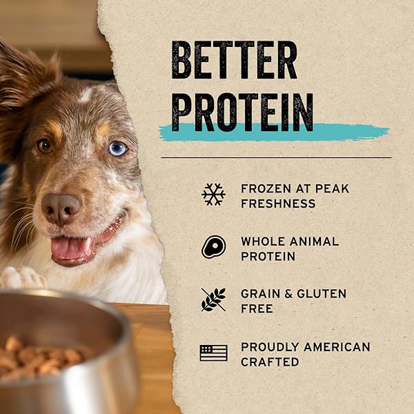VITAL ESSENTIALS FREEZE DRIED RAW PROTEIN MIX-IN DOG FOOD TOPPER, BEEF MINI NIBS TOPPER FOR DOGS, 6 OZ
