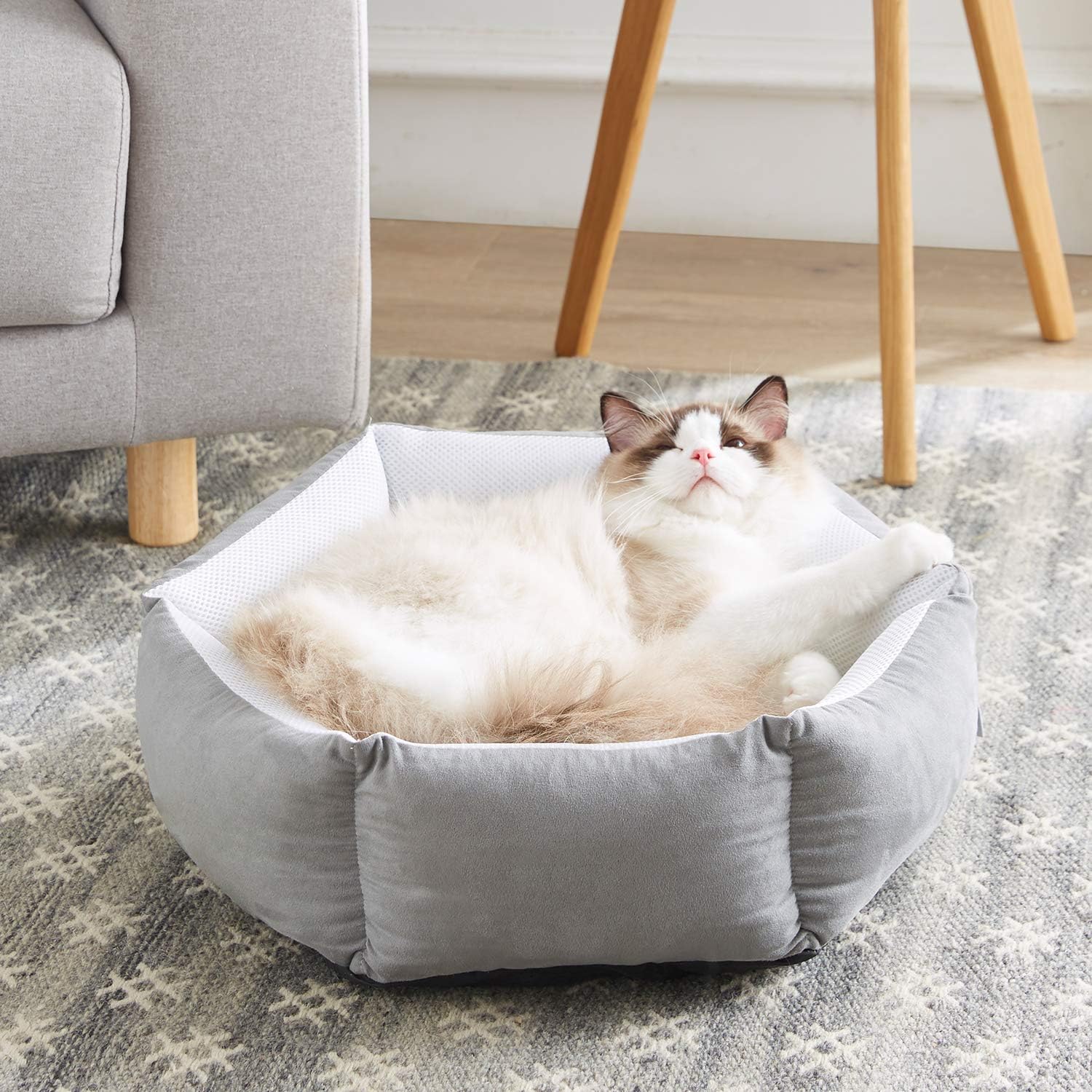 WESTERN HOME WH Cat Beds for Indoor Cats Round Soft Cushion Machine Washable Anti-Slip Bottom 20 Inch Grey : Pet Supplies