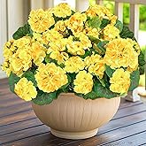 TURNMEON Artificial Geraniums Flowers for Outdoors, 4 Bundles Fake Geraniums Silk Flowers UV Resistant Faux Flowers Plants for Home Planter Gardens Table Porch Cemetery Summer Spring Decor(Yellow)
