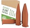 Terracotta Plant Waterer - Perfect for Vacation Plant Watering