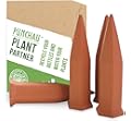 Terracotta Plant Waterer - Perfect for Vacation Plant Watering