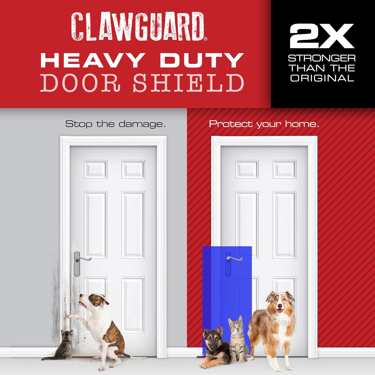 door frame protector dog chewing