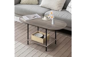 SHINOSKE Coffee Tables for Living Room,2-Tier Small Oval Center Table Industrial Modern Style Coffee Tables with Storage Shel
