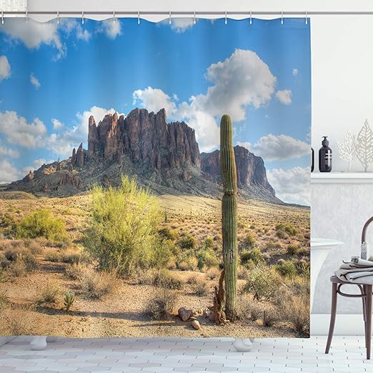 Amazon Com Ambesonne Saguaro Shower Curtain Famous Canyon Cliff
