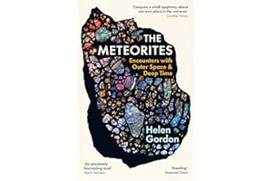 The Meteorites: Encounters with Outer Space and Deep Time