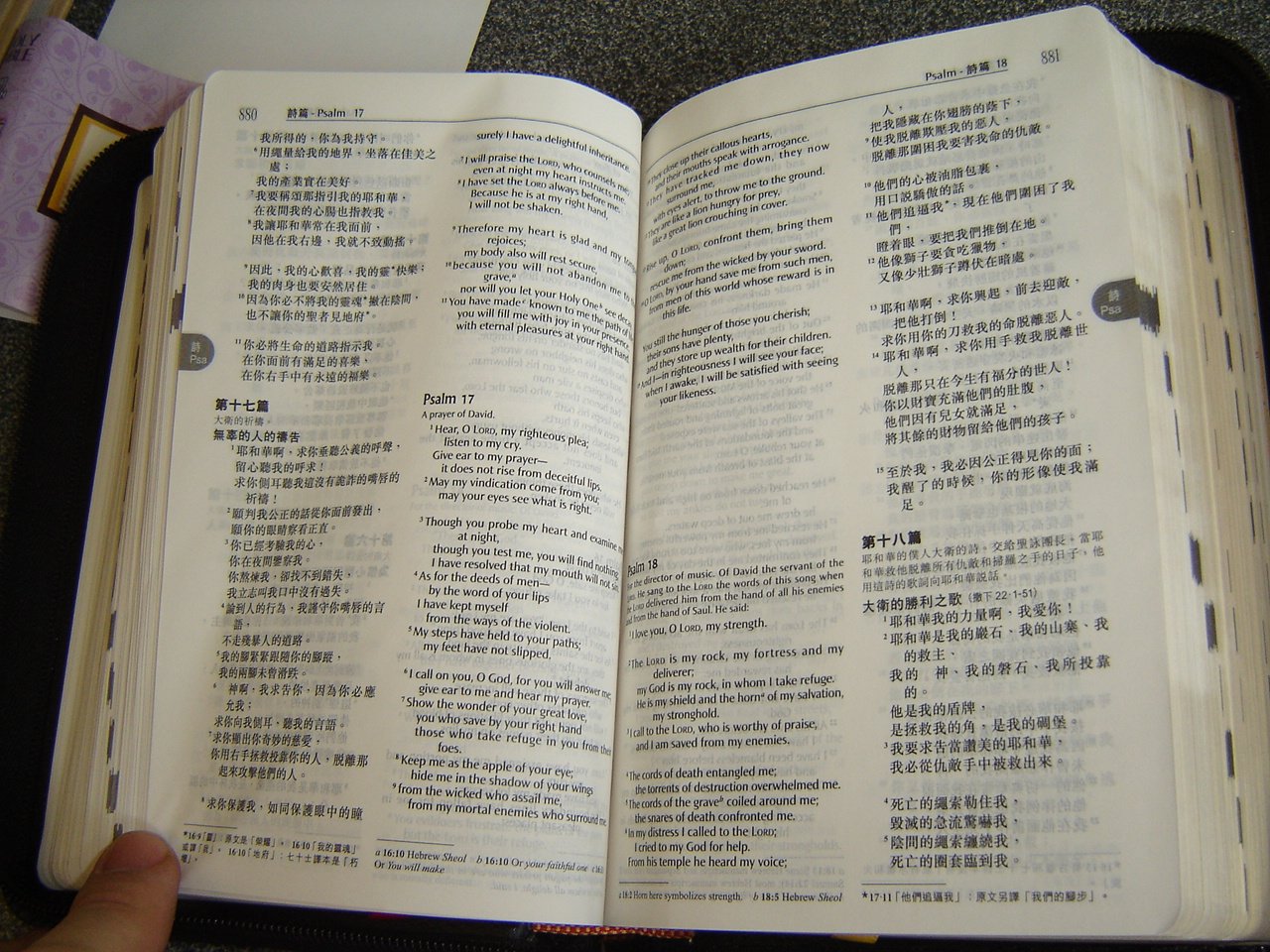 15件事神奇的女人可以做到正义联盟做不到 清单2021