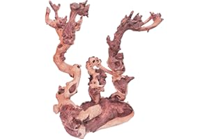 HEMYIS Natural Teak Driftwood Coral Driftwood for Aquarium Fish Tank Decor,Assorted Punica Trunk Driftwood Branch for Reptile Decor (Coral-Wood L(12-15 Inch or 1.6-2.2 Lb)-1 PCS)