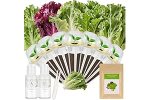 MAJERO Green Goddess Salad Seed Pod Kit for AeroGarden, idoo, Ahopegarden, MUFGA with Red Romaine/Green Romaine/American Fast/Parris Island/Buttercrunch Lettuce - Compatible with All Garden(7-Pod)