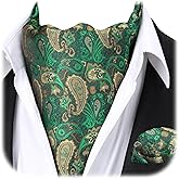 HISDERN Ascot Ties for Men Paisley Floral Ascot and Pocket Square Set Classic Self Tie Mens Cravat Handkerchief for Wedding