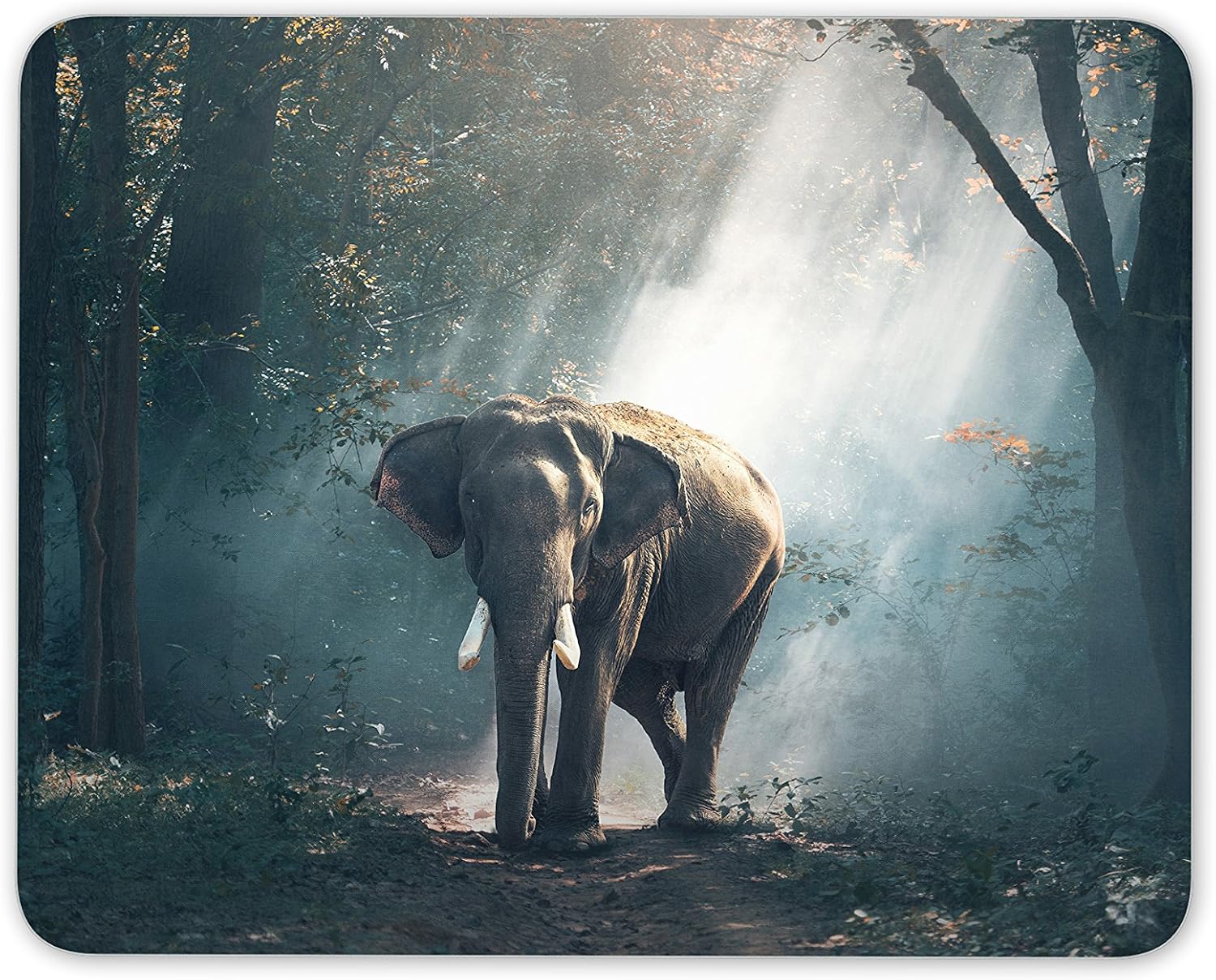 African Elephant Mouse Mat Pad - Animal Mum Sister Daughter Computer #13162, Multicolor, 23.5cm x 19.6cm x 5mm