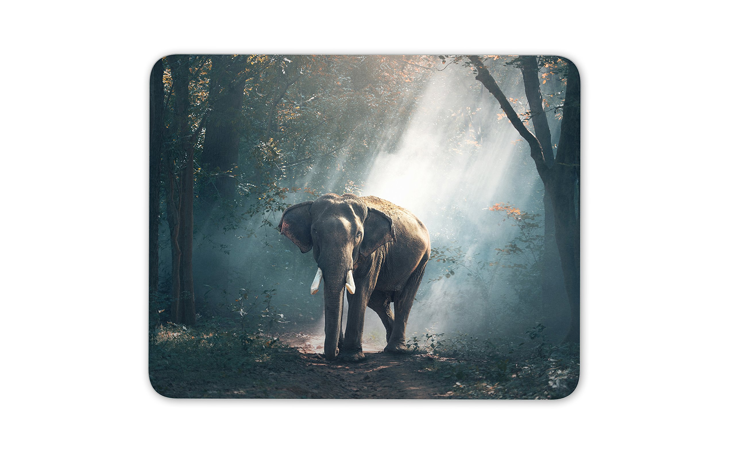 African Elephant Mouse Mat Pad - Animal Mum Sister Daughter Computer #13162