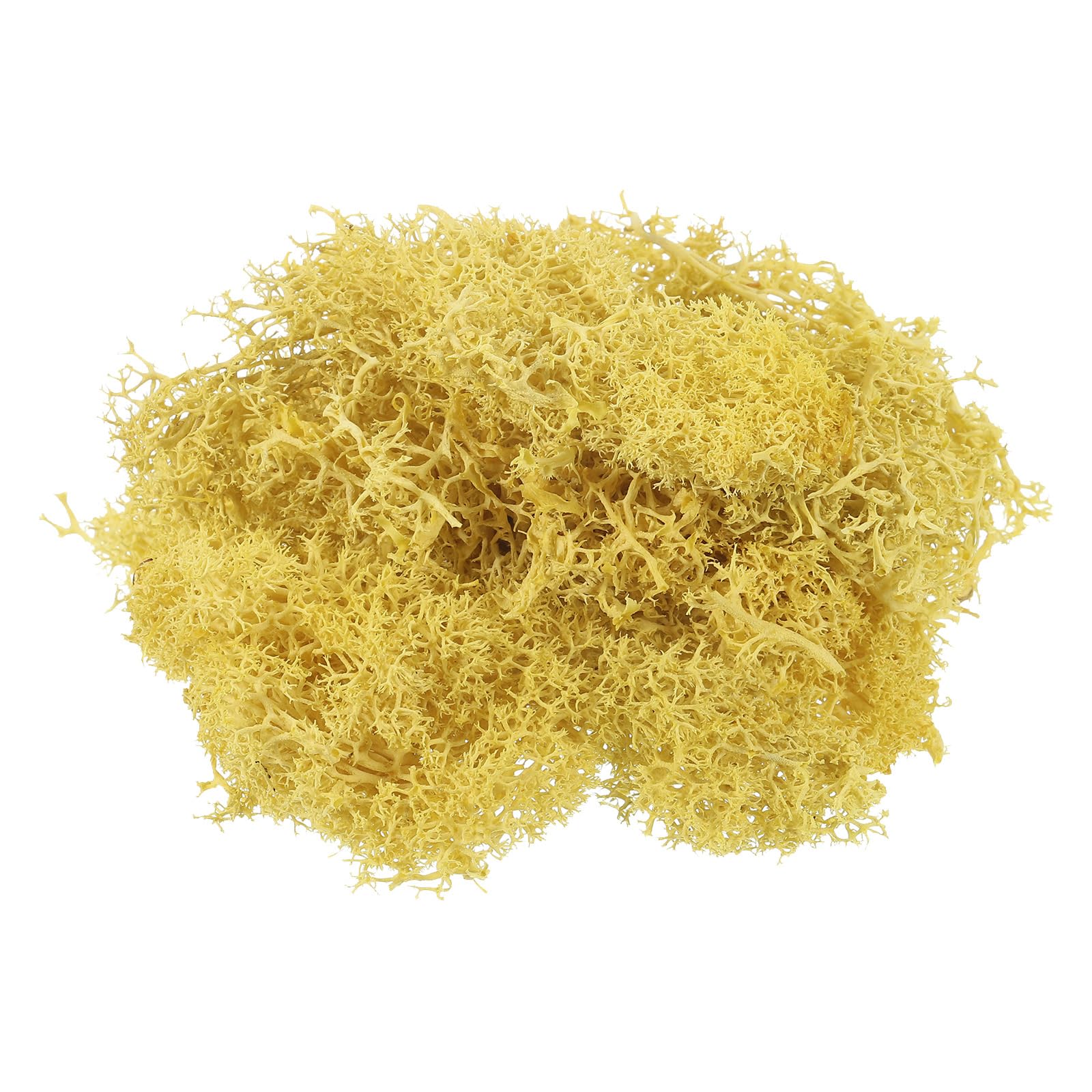 PATIKIL 3.5 OZ Fake Moss, Preserved Reindeer Moss Artificial Moss Lichen Centerpieces Decor Faux Moss for Potted Plants Christmas Craft, Yellow