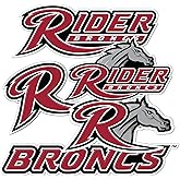 Desert Cactus Rider University Sticker Broncsr Vinyl Decals Laptop Water Bottle Car Scrapbook Sheet T2 (Type 2-2)