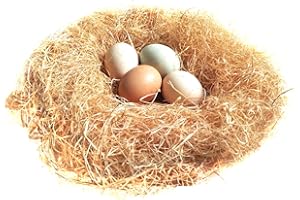 BWOGUE 100g/3.5oz Natural Grass Nesting Pads for Chicken Hens Birds Nest Bedding