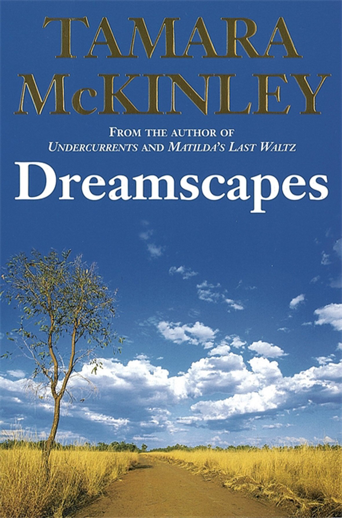 Dreamscapes Amazon Co Uk Mckinley Tamara 9780749937041 Books