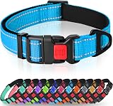 Taglory Reflective Nylon Dog Collar with Safety Buckle XS Sky Blue