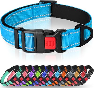 Taglory Reflective Nylon Dog Collar with Safety Buckle XS Sky Blue