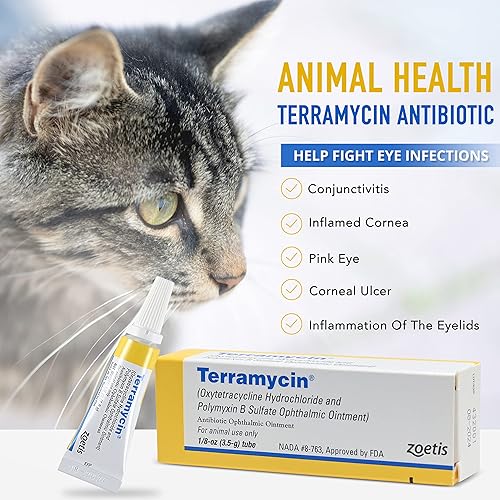 Bacterial Conjunctivitis Pink Eye Medication For Cats Bacterial