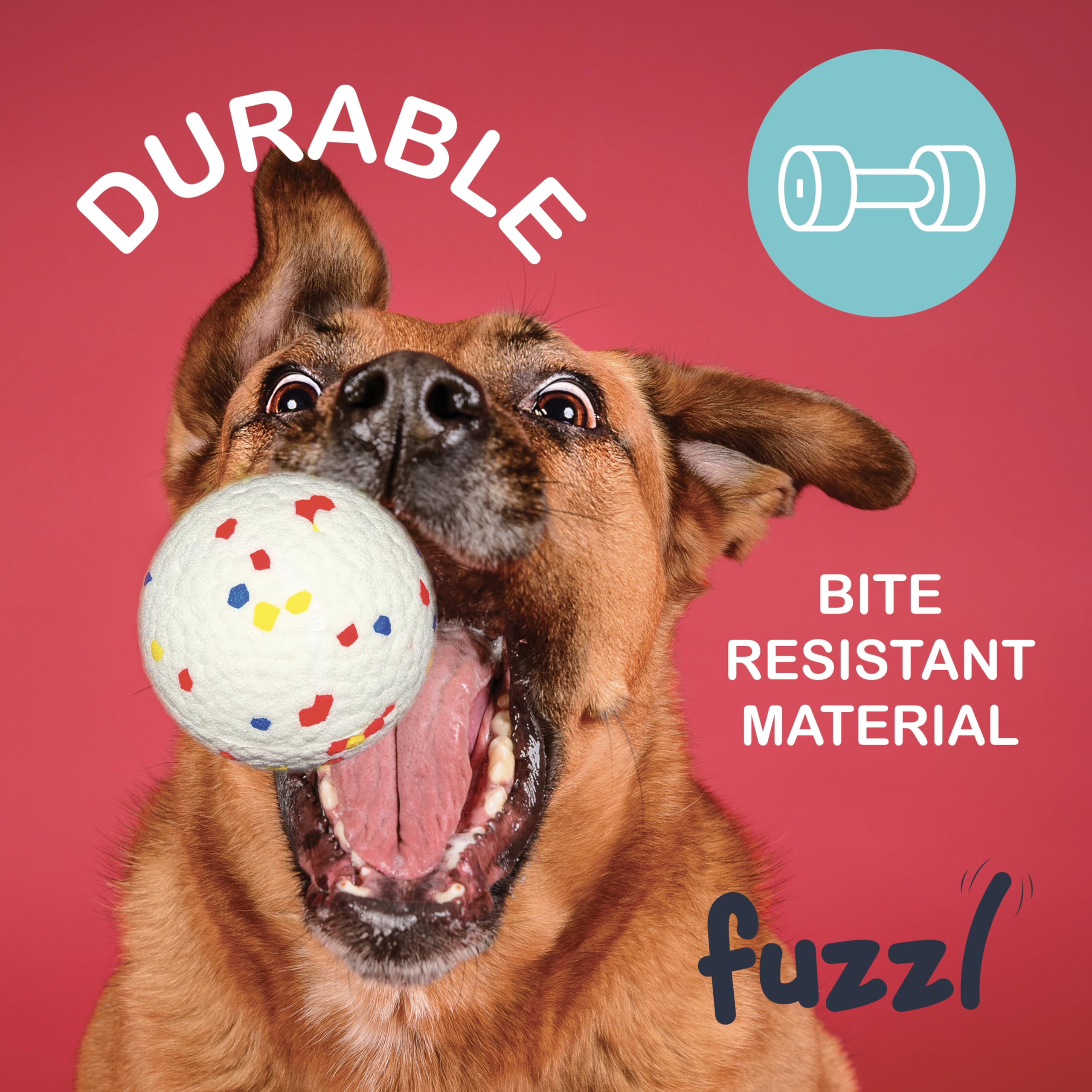 View 4
