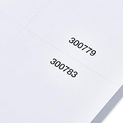 Printable Raffle and Event Tickets (Numbered) - 50