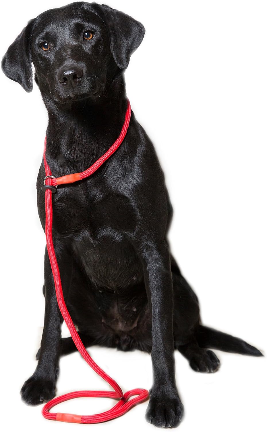 Dog & Field Deluxe Gundog Slip Lead, Red. Super Soft Braided Nylon Slip Lead for Dogs With Rubber Stopper Easy To Slip On