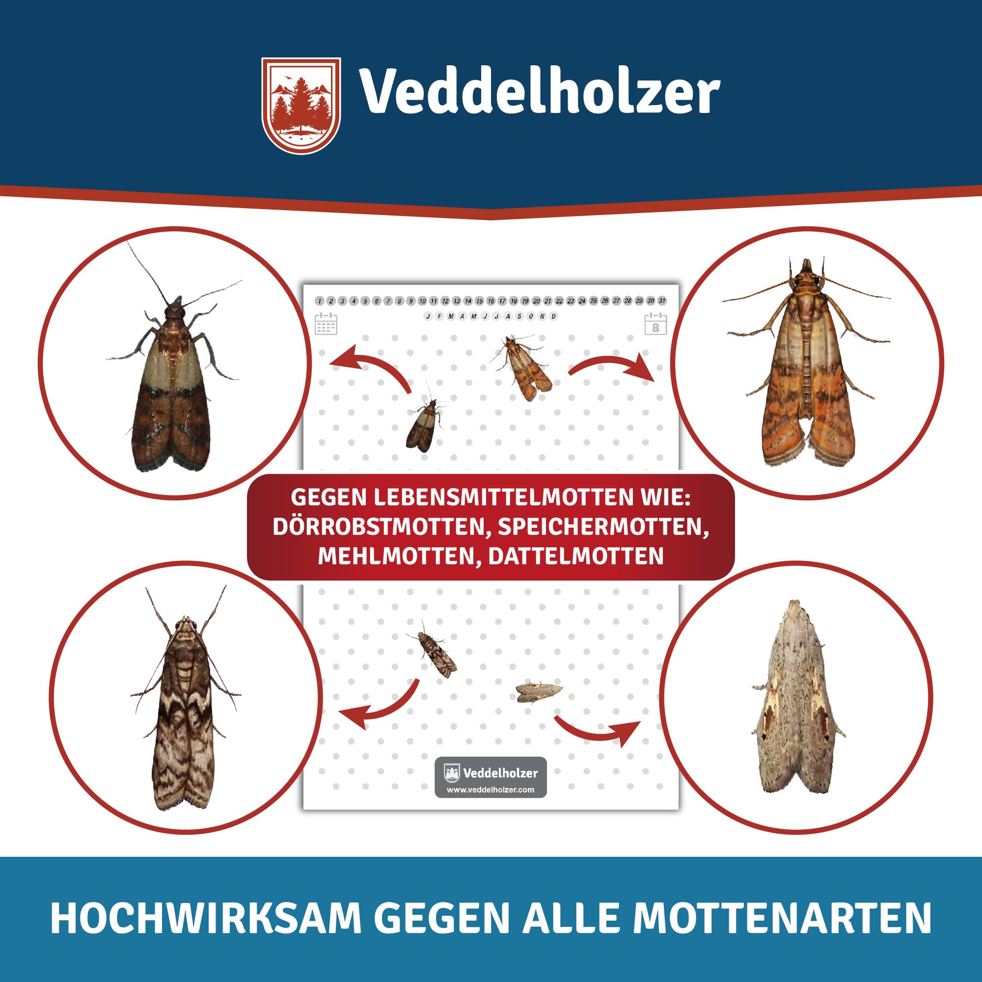 Veddelholzer 10 Stück Lebensmittelmotten-Falle mit Pheromon Lockwirkung Effektiv Lebensmittelmotten bekämpfen Monitoring von Motten dank Hochleistungs- Leimfalle Langzeitschutz 10 x 8 Wochen 3